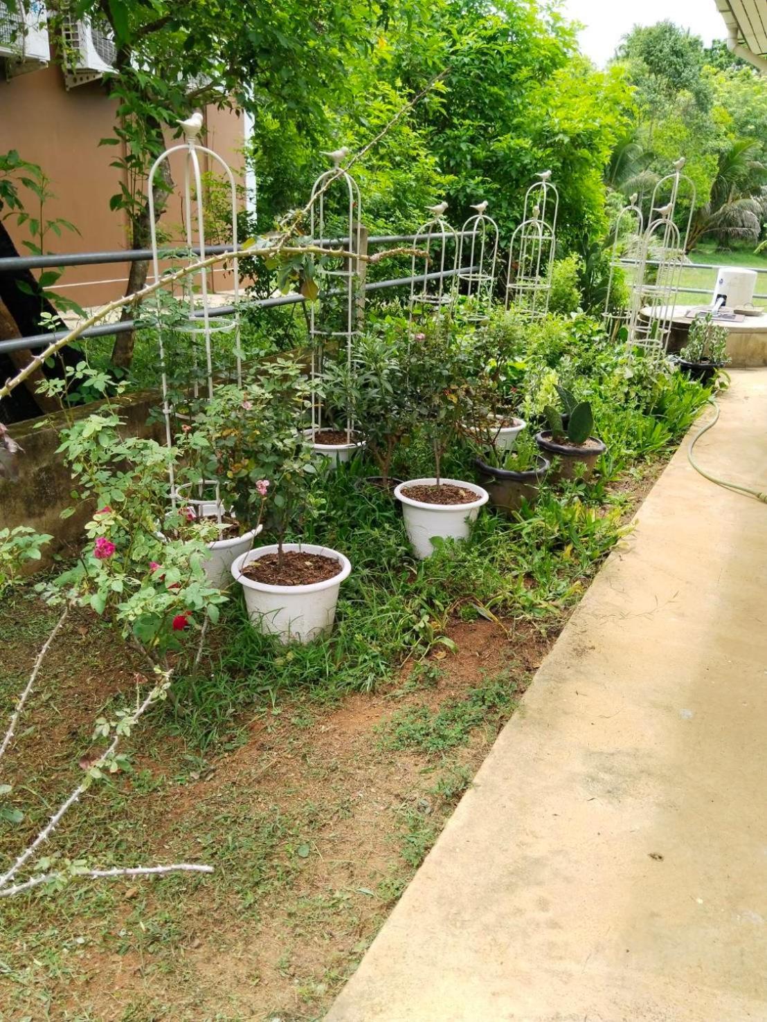 Thanid House Ban Nai Khlong Exterior foto
